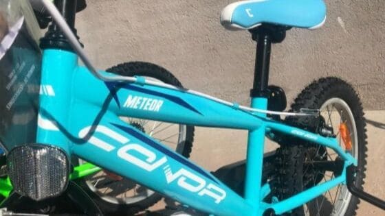 Beneficios de aprender a montar en bicicleta durante la infancia. (I)